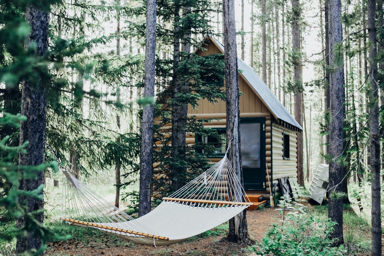 How to design an energy-efficient small home