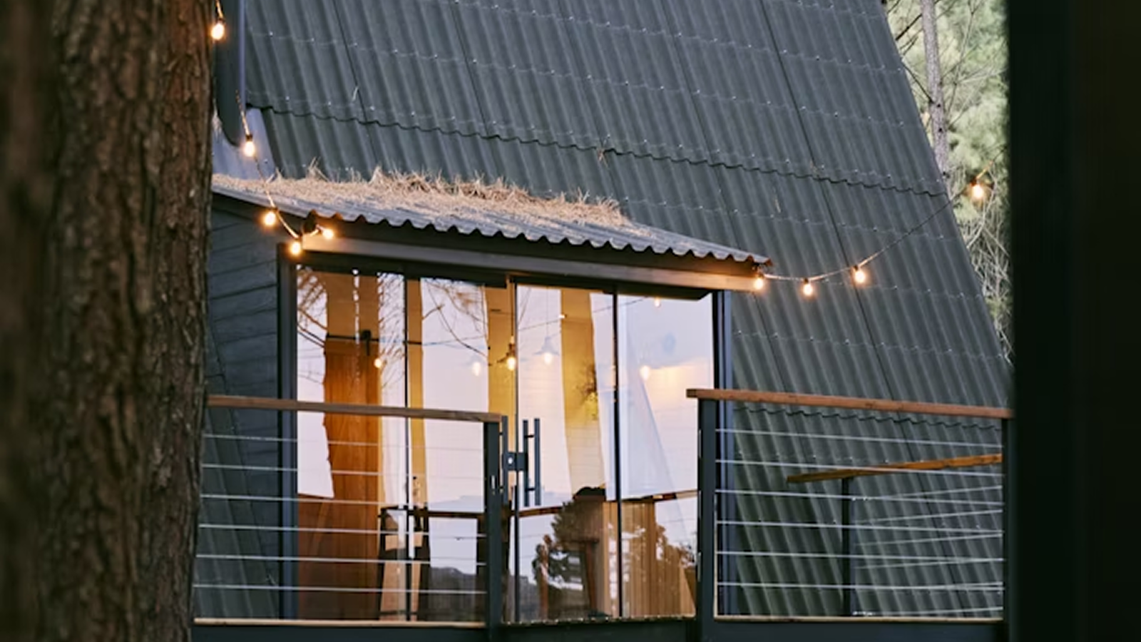 Building with Timber & Steel